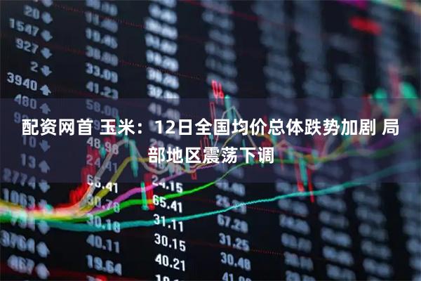 配资网首 玉米：12日全国均价总体跌势加剧 局部地区震荡下调
