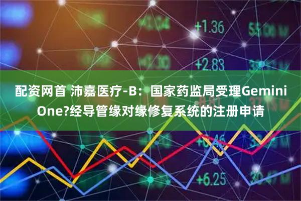 配资网首 沛嘉医疗-B：国家药监局受理GeminiOne?经导管缘对缘修复系统的注册申请