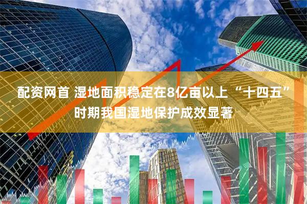 配资网首 湿地面积稳定在8亿亩以上 “十四五”时期我国湿地保护成效显著