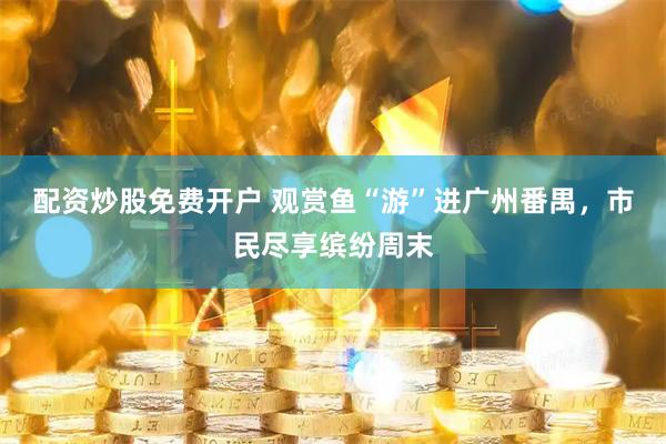 配资炒股免费开户 观赏鱼“游”进广州番禺，市民尽享缤纷周末